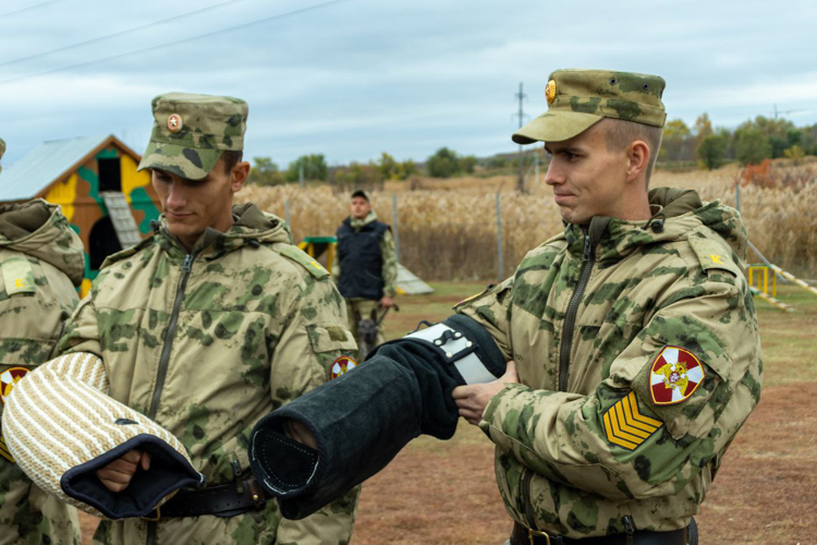 11 октября 2024 года с курсантами военного института проведены занятия в кинологическом центре