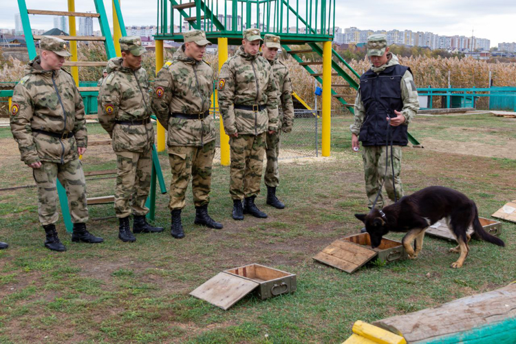 11 октября 2024 года с курсантами военного института проведены занятия в кинологическом центре
