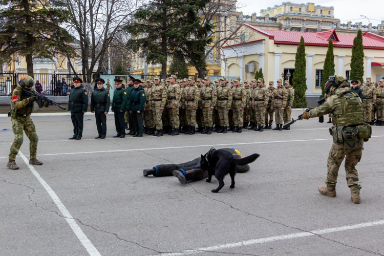 27 марта 2025 года в военном институте проведены торжественные мероприятия, посвященные Дню войск национальной гвардии  Российской Федерации