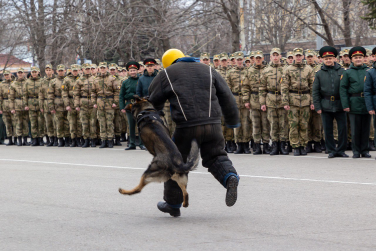 27 марта 2025 года в военном институте проведены торжественные мероприятия, посвященные Дню войск национальной гвардии  Российской Федерации