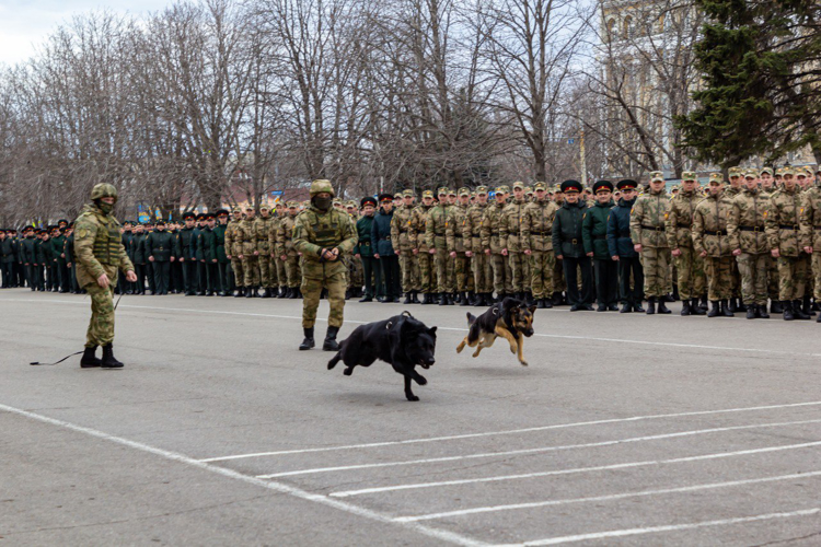 27 марта 2025 года в военном институте проведены торжественные мероприятия, посвященные Дню войск национальной гвардии  Российской Федерации