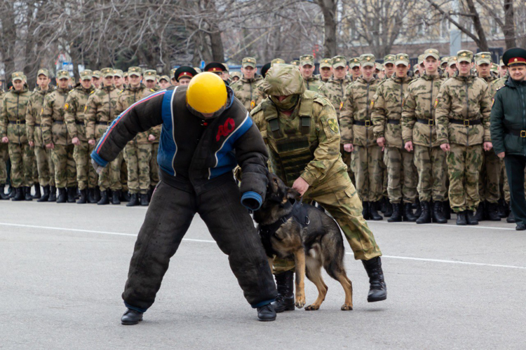 27 марта 2025 года в военном институте проведены торжественные мероприятия, посвященные Дню войск национальной гвардии  Российской Федерации
